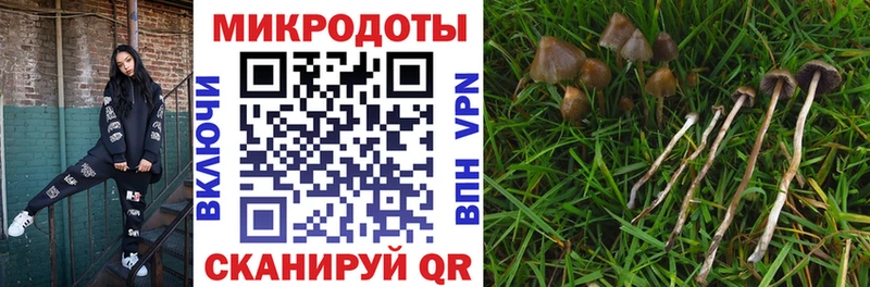 Галлюциногенные грибы Magic Shrooms Кировск